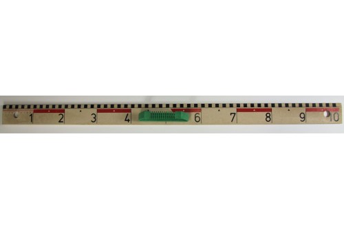 Wissner® active learning - Ruler 100cm made of RE-Wood® RE-Plastic®